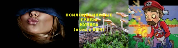 дурь Алексин