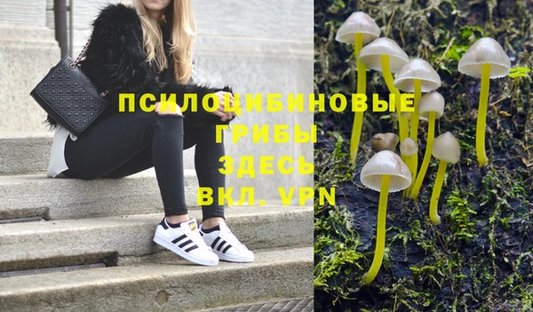 дурь Алексин