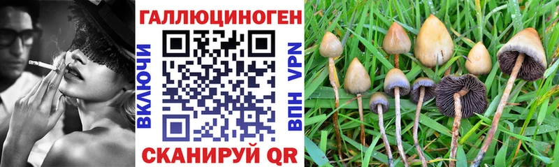 где купить наркоту  MEGA онион  Псилоцибиновые грибы Psilocybine cubensis  Дыгулыбгей 